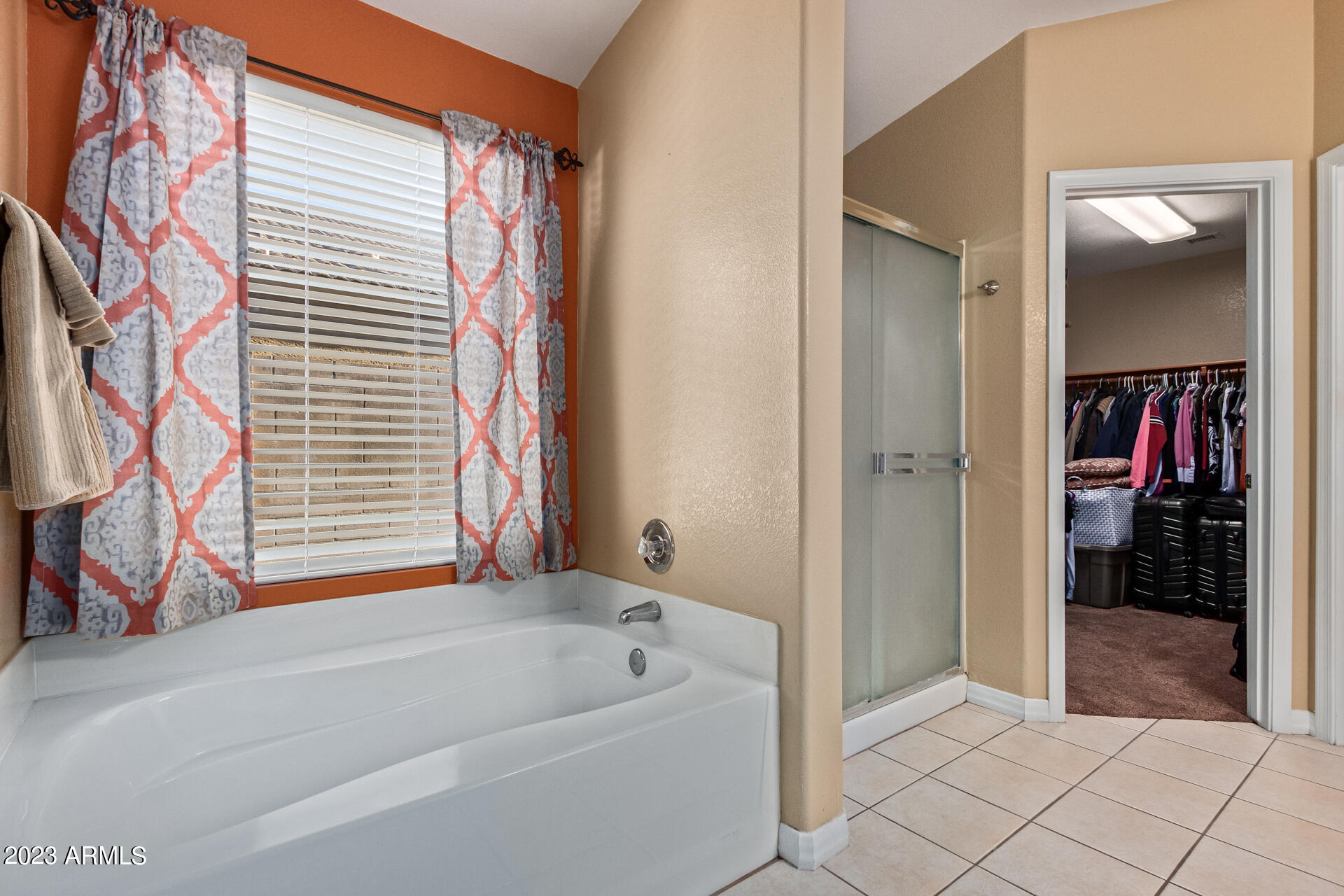 11235 S PALOMINO Lane, Goodyear