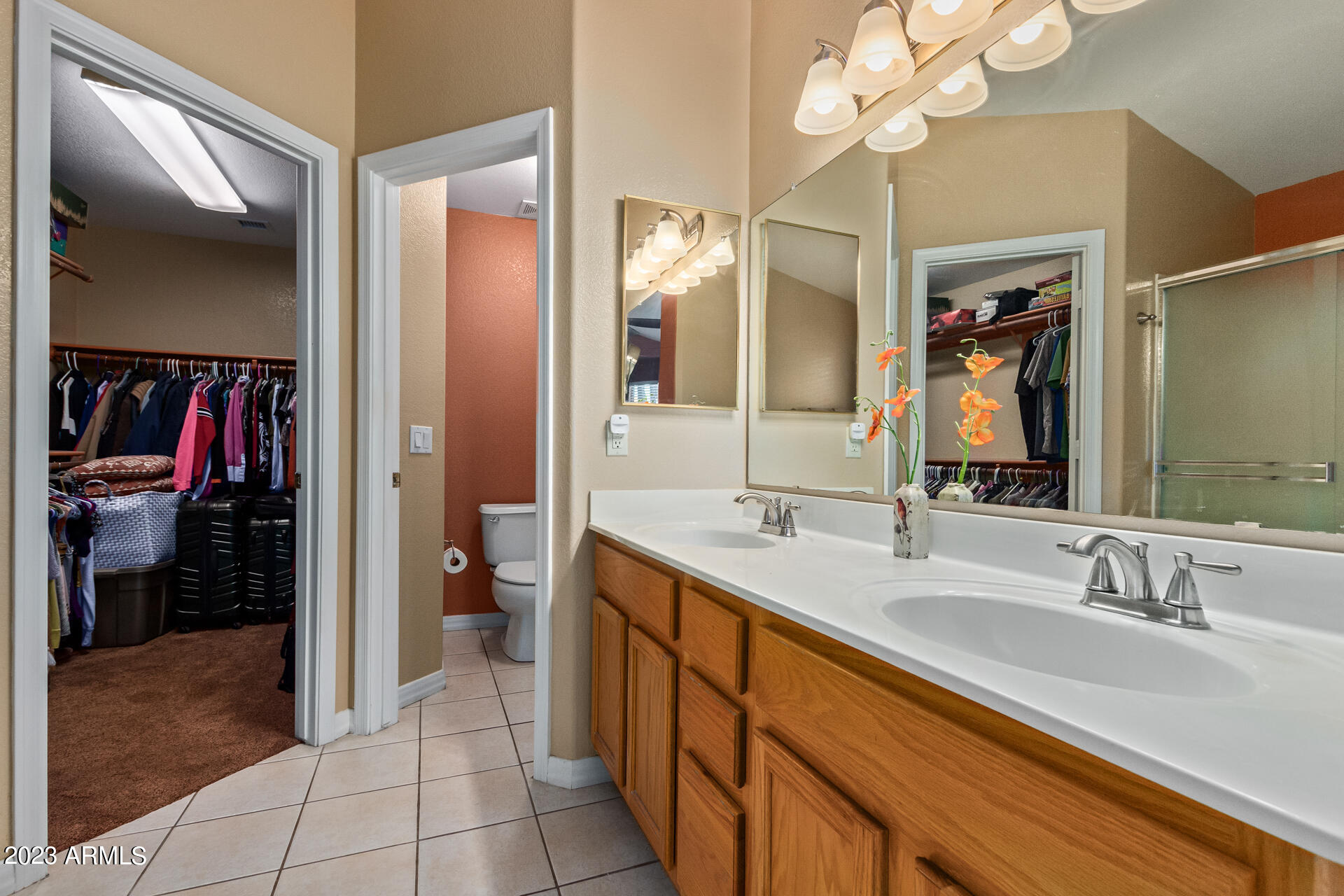 11235 S PALOMINO Lane, Goodyear