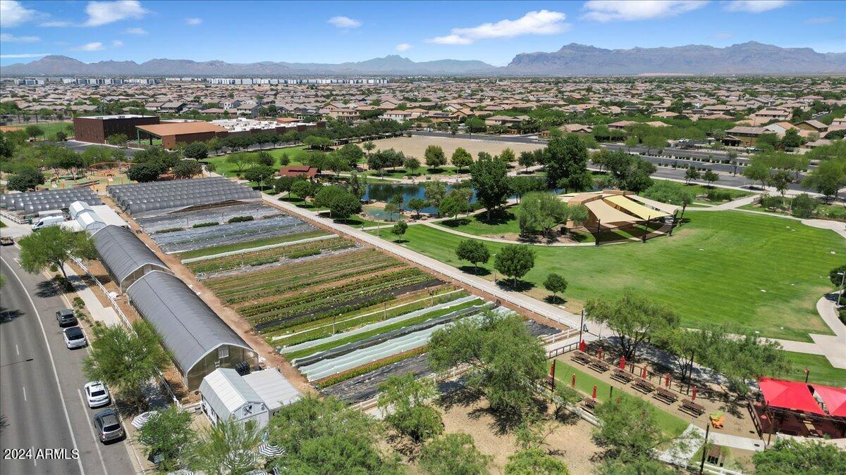 4649 S CONCORDE Lane, Mesa