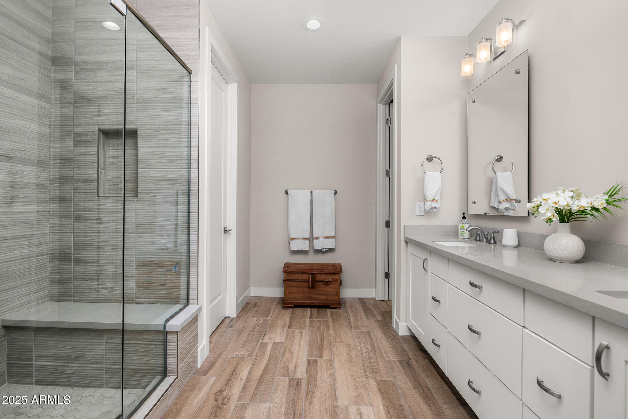 11172 N SAN CLEMENTE Street, Surprise