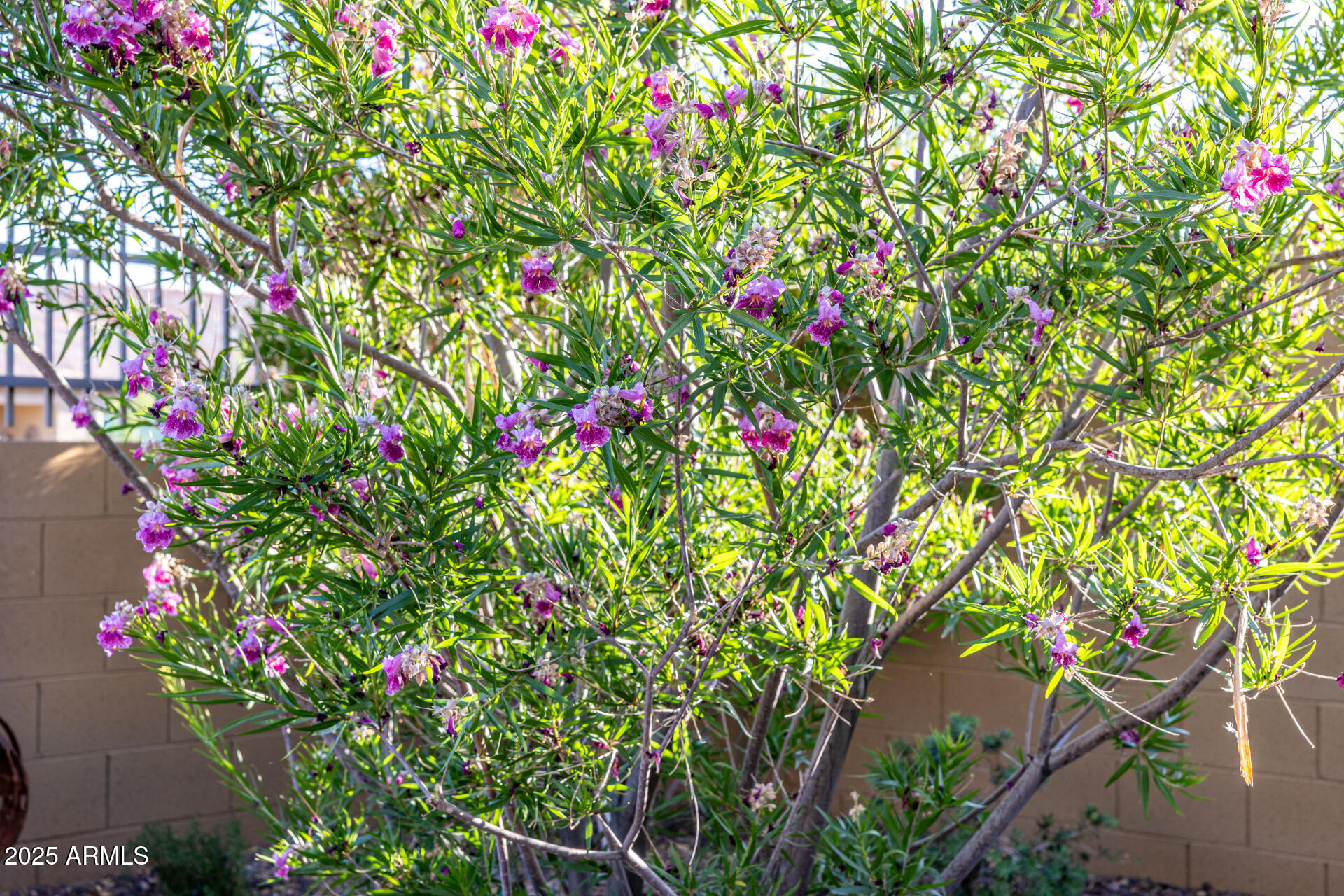 6929 E QUILL Street, Mesa