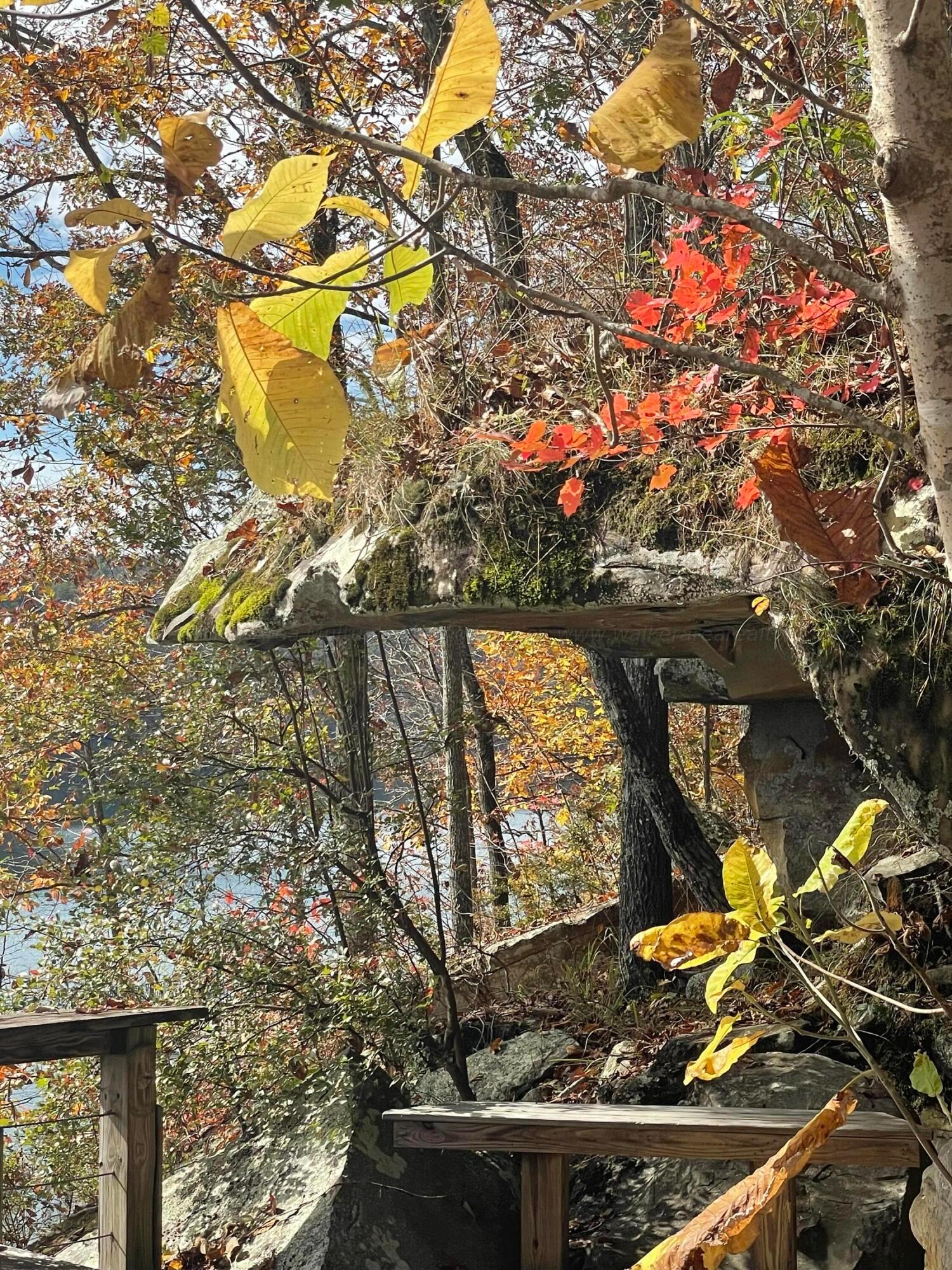LOT 9 ROCK CREEK PENINSULA
