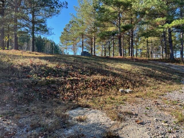 224 CO RD 373