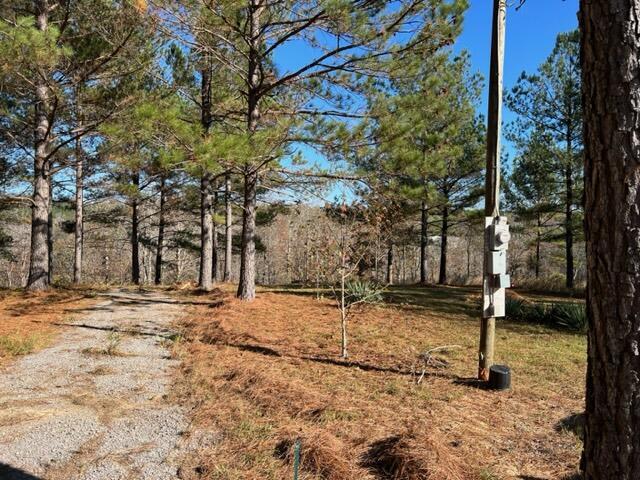 224 CO RD 373