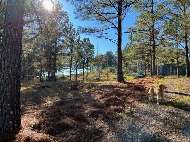 224 CO RD 373