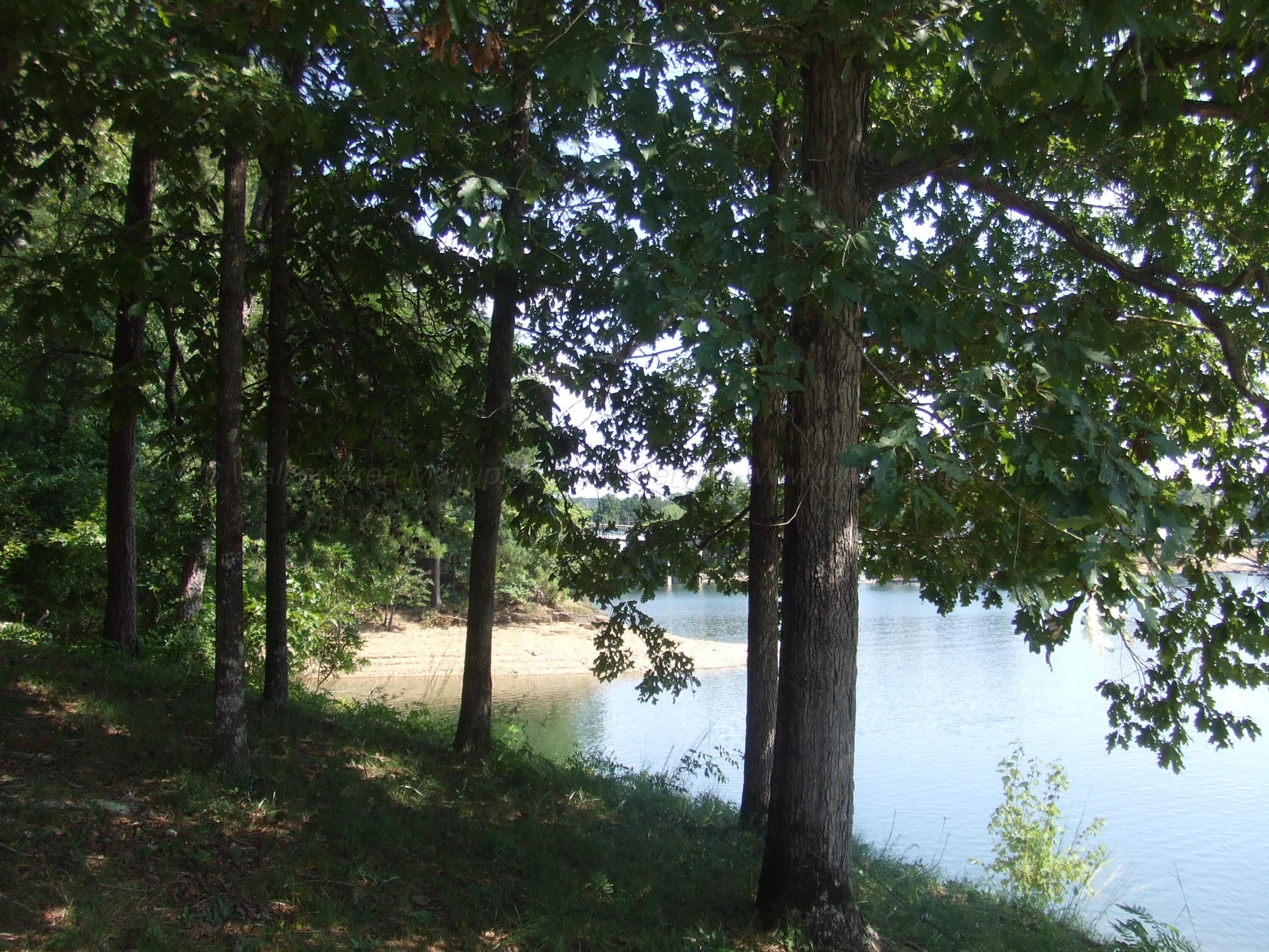 21416 COUNTY ROAD 222