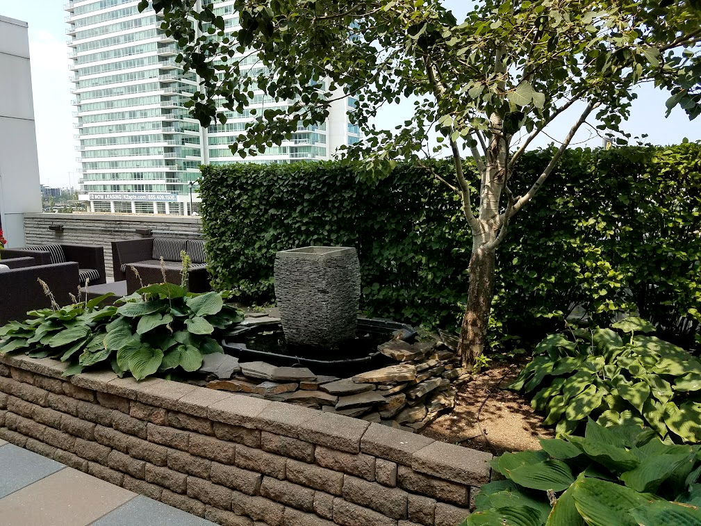 660 W Wayman Street Unit: 607B