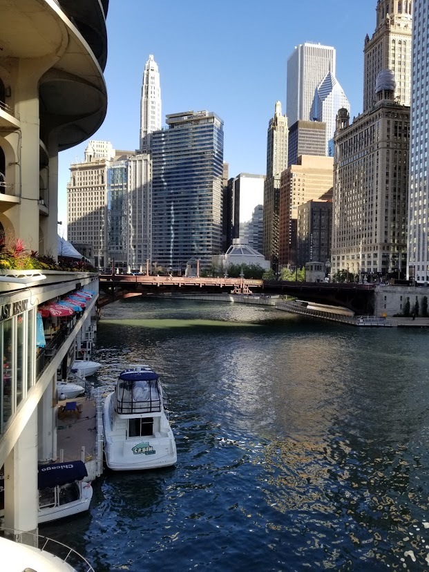 300 N State Street Unit: 2229