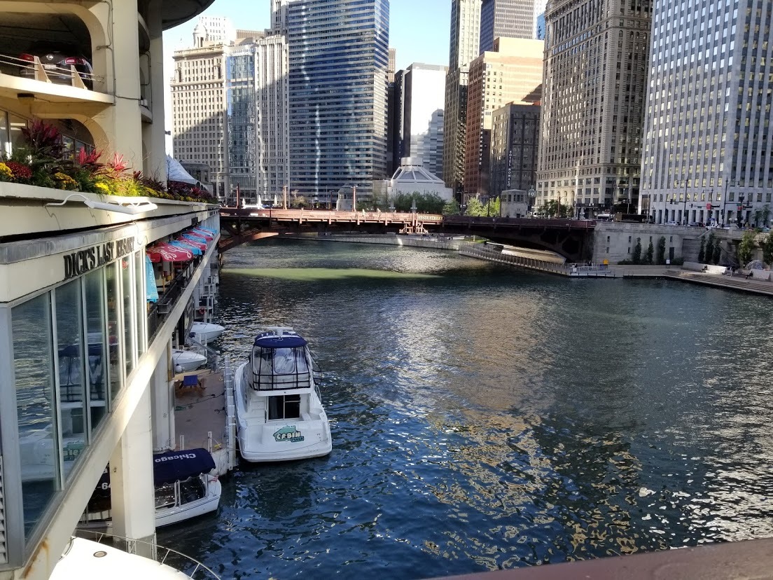 300 N State Street Unit: 2229