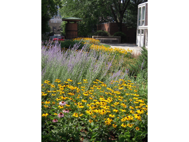 1255 N Sandburg Terrace Unit: 1001