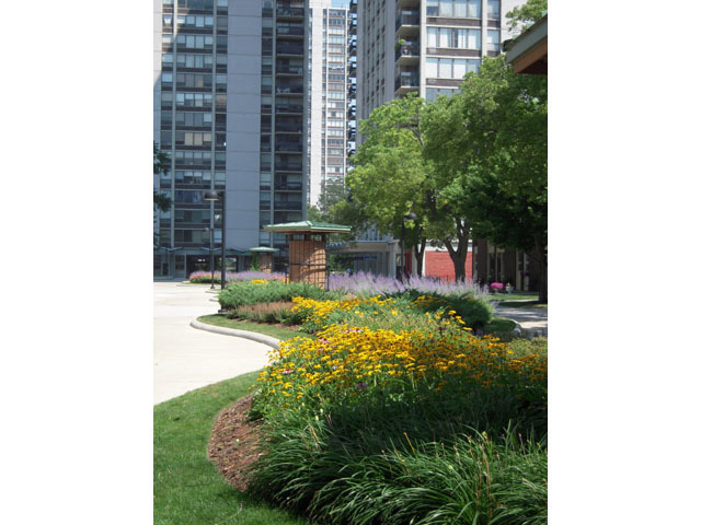 1255 N Sandburg Terrace Unit: 1001