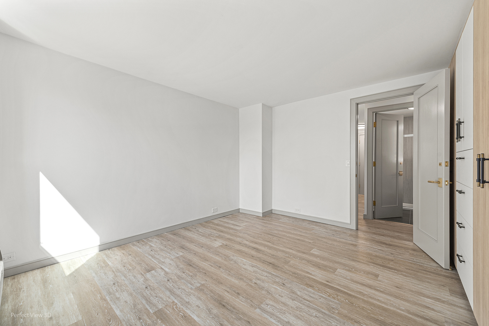 1255 N Sandburg Terrace Unit: 1001