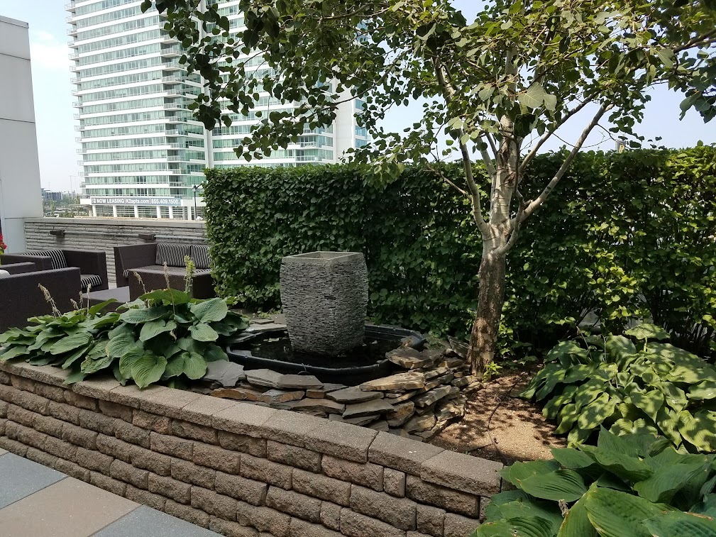 650 W Wayman Street Unit: 505C