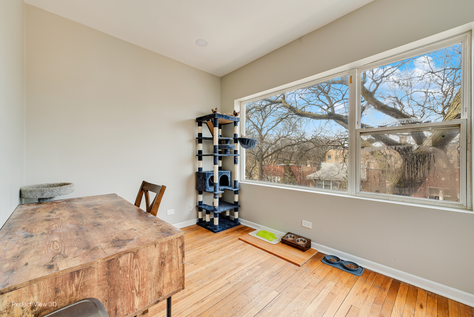 4909 N Avers Avenue Unit: 3