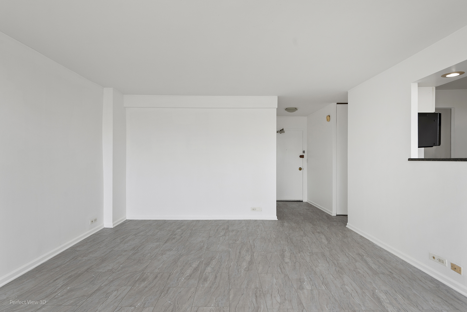 1355 N Sandburg Terrace Unit: 2306D