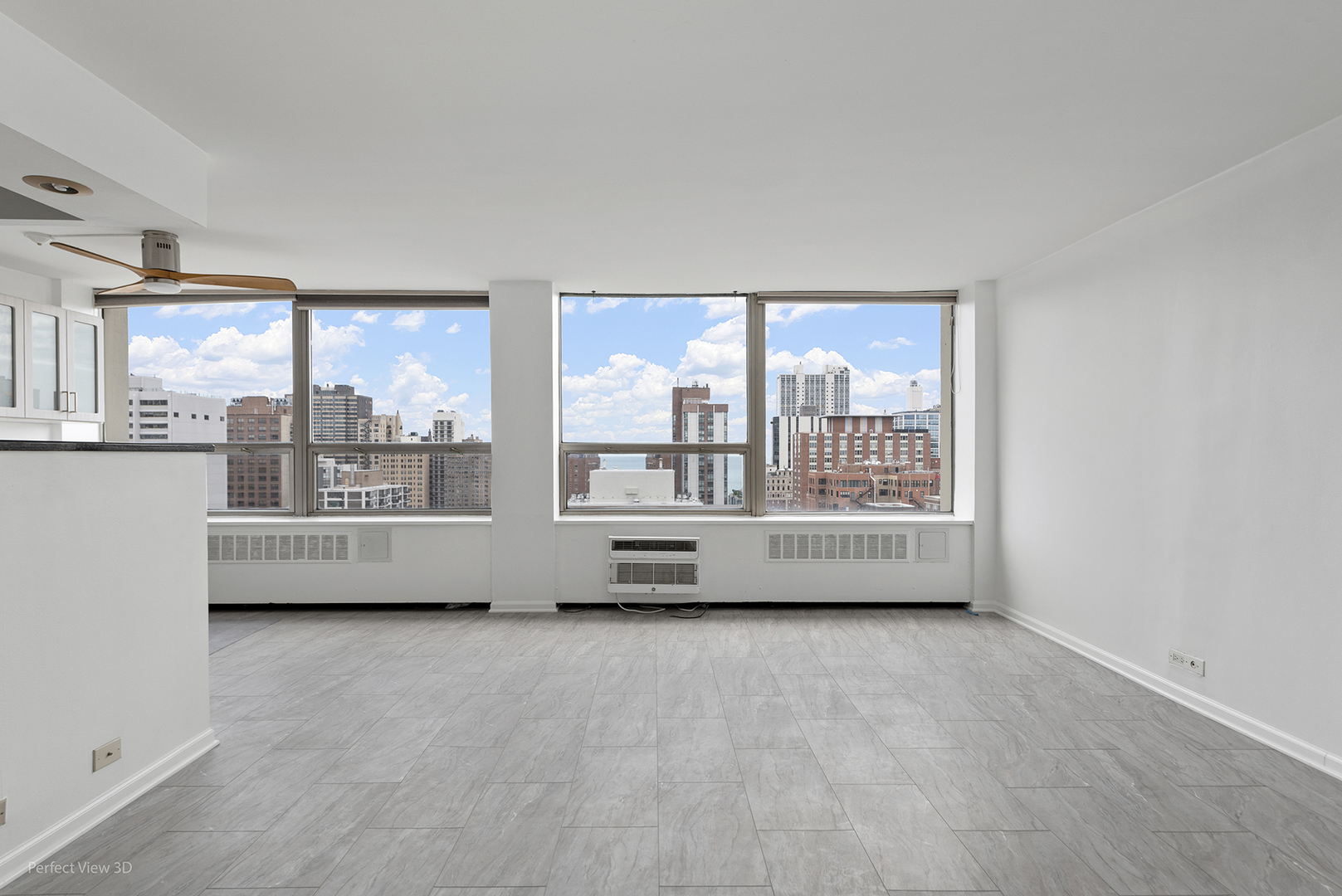 1355 N Sandburg Terrace Unit: 2306D