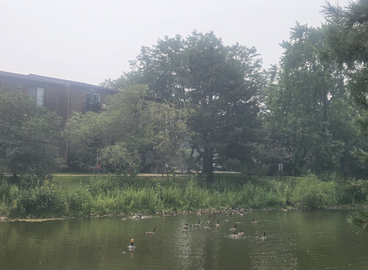 1537 Norway Lane Unit: 3A