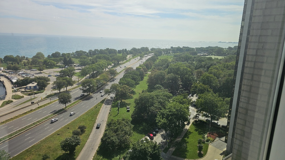 3180 N Lake Shore Drive Unit: 17F