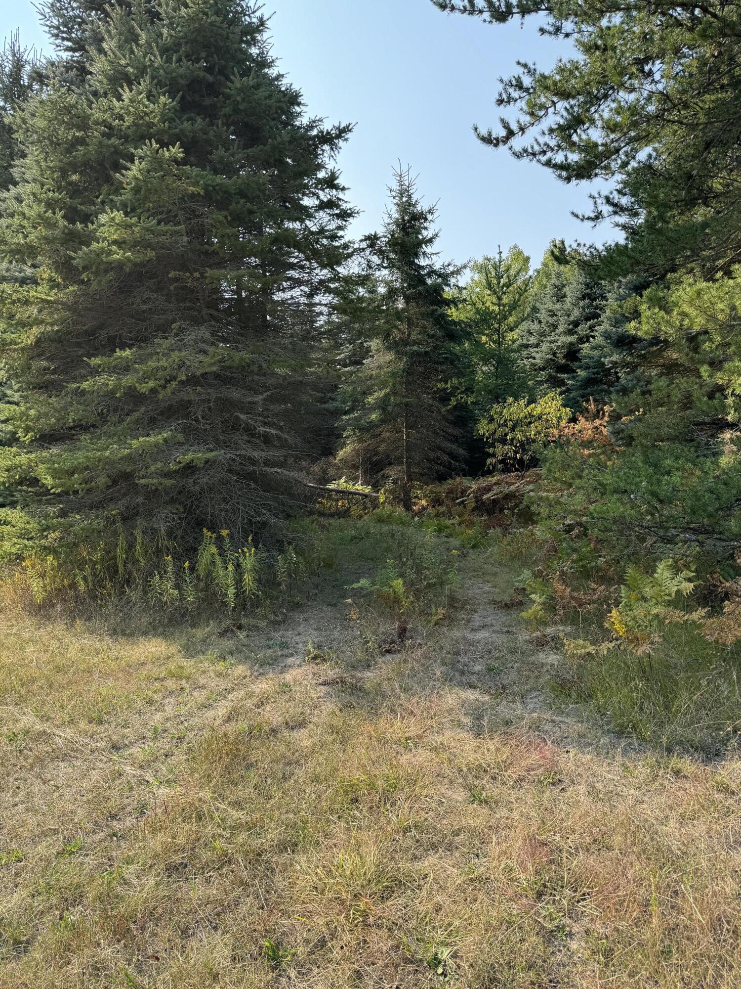 5222 Leckrone Road