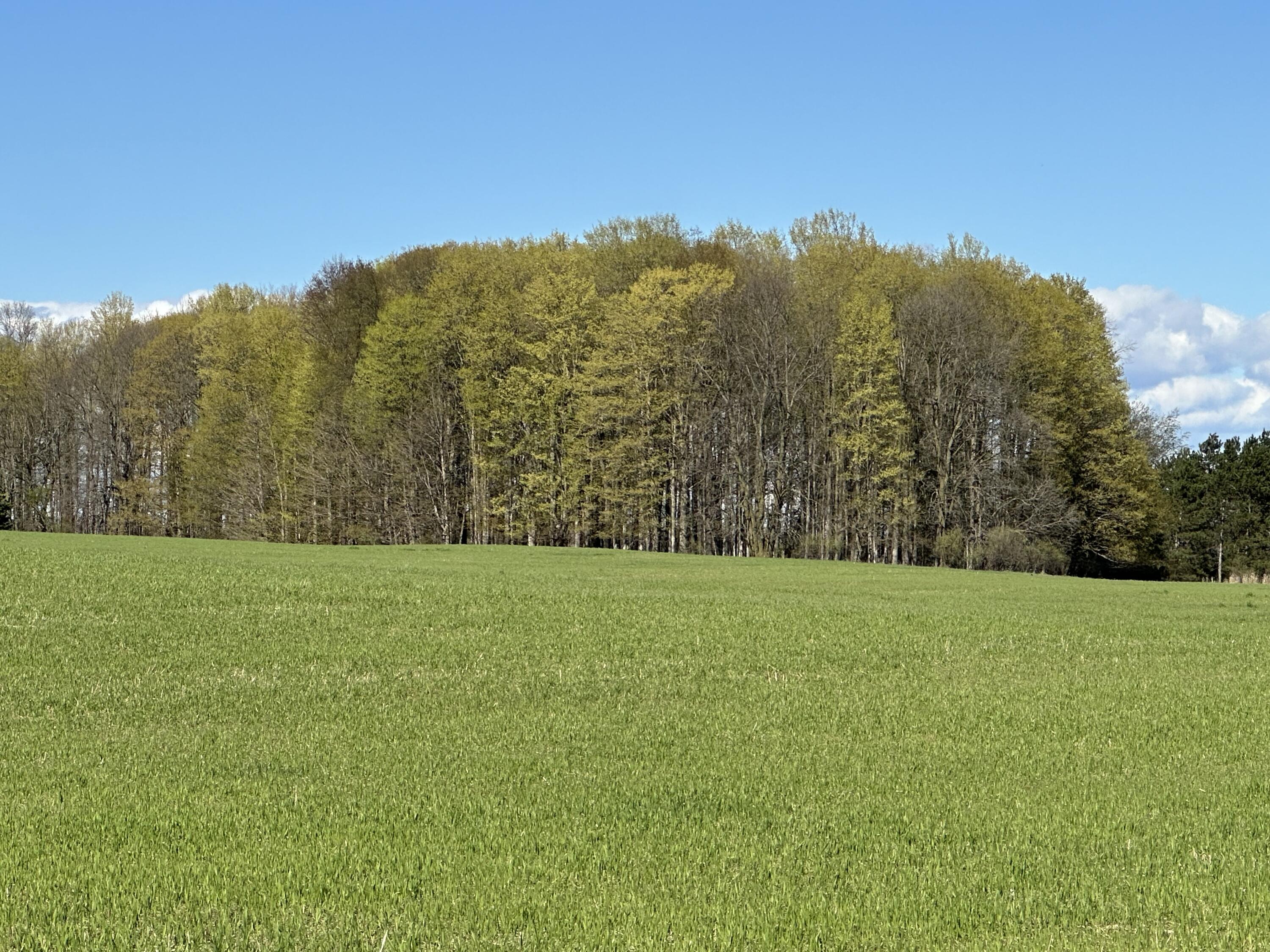 2210 E Gajeski Road