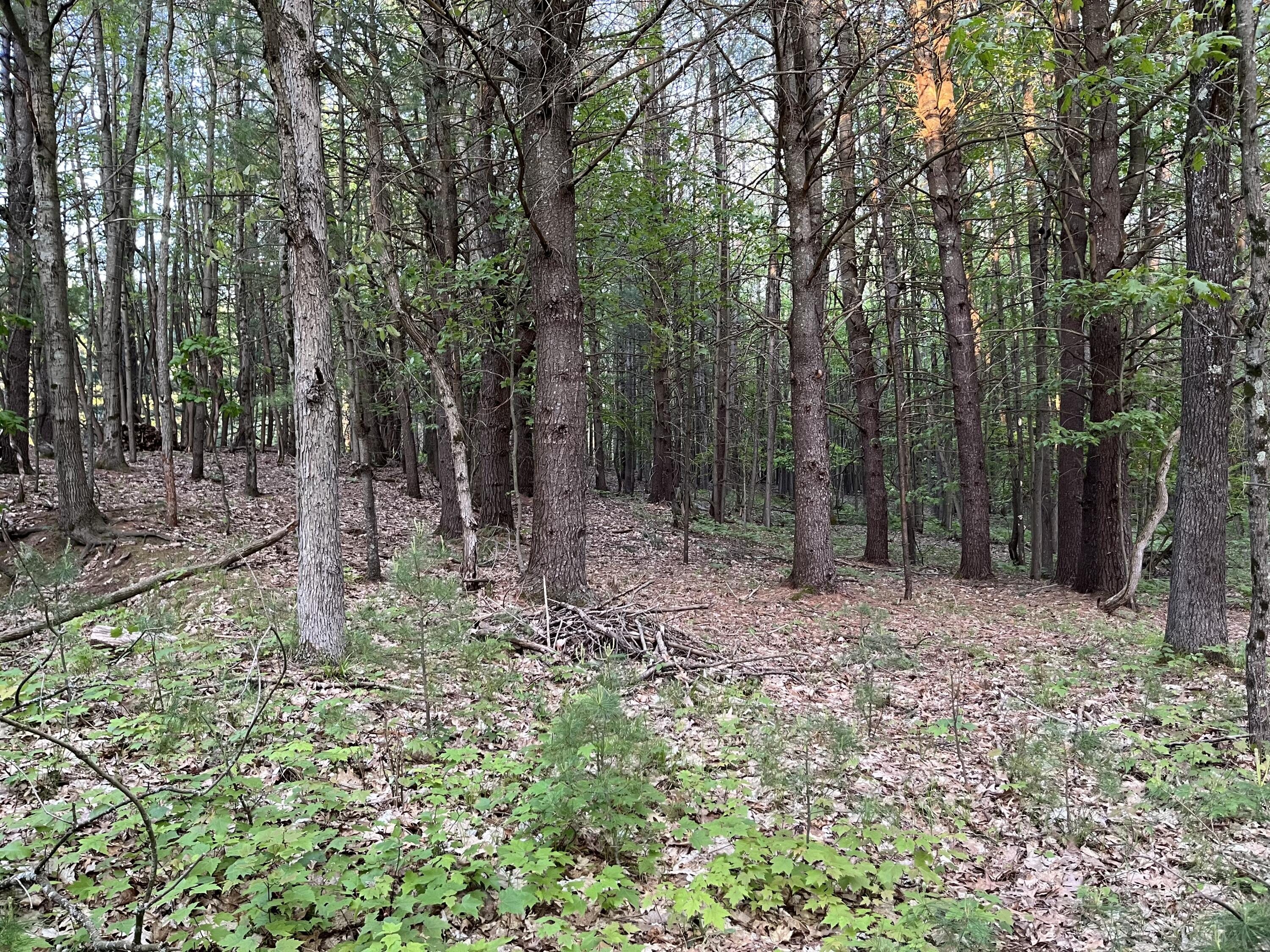 3601 Madison Road