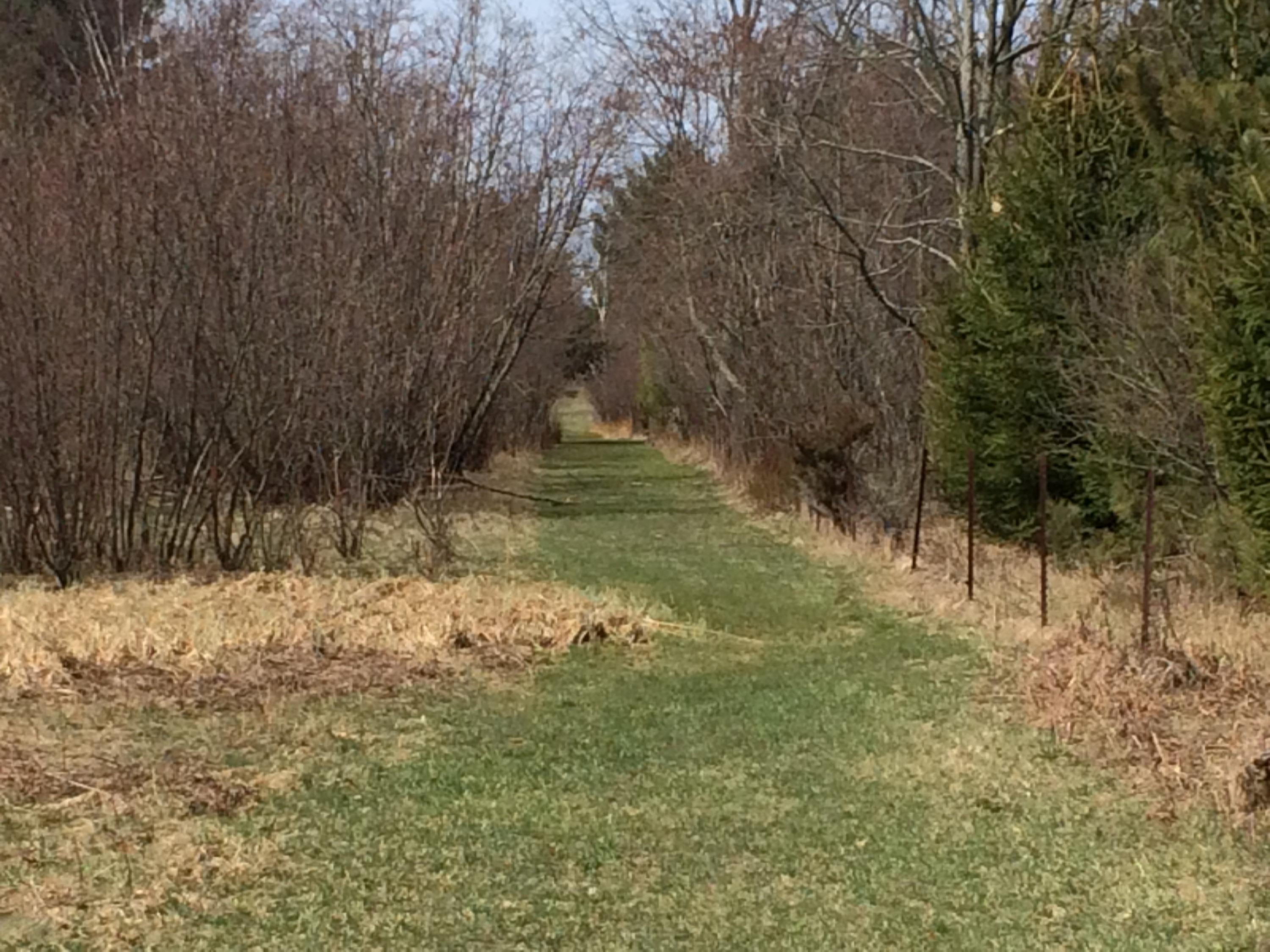 28.6a Red Apple Road