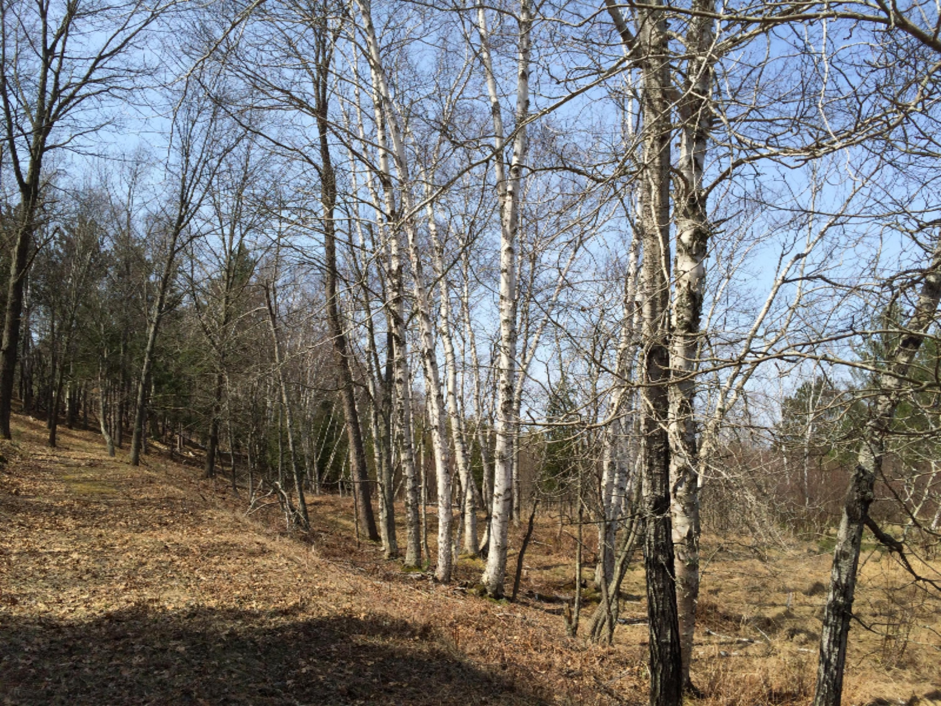 28.6a Red Apple Road