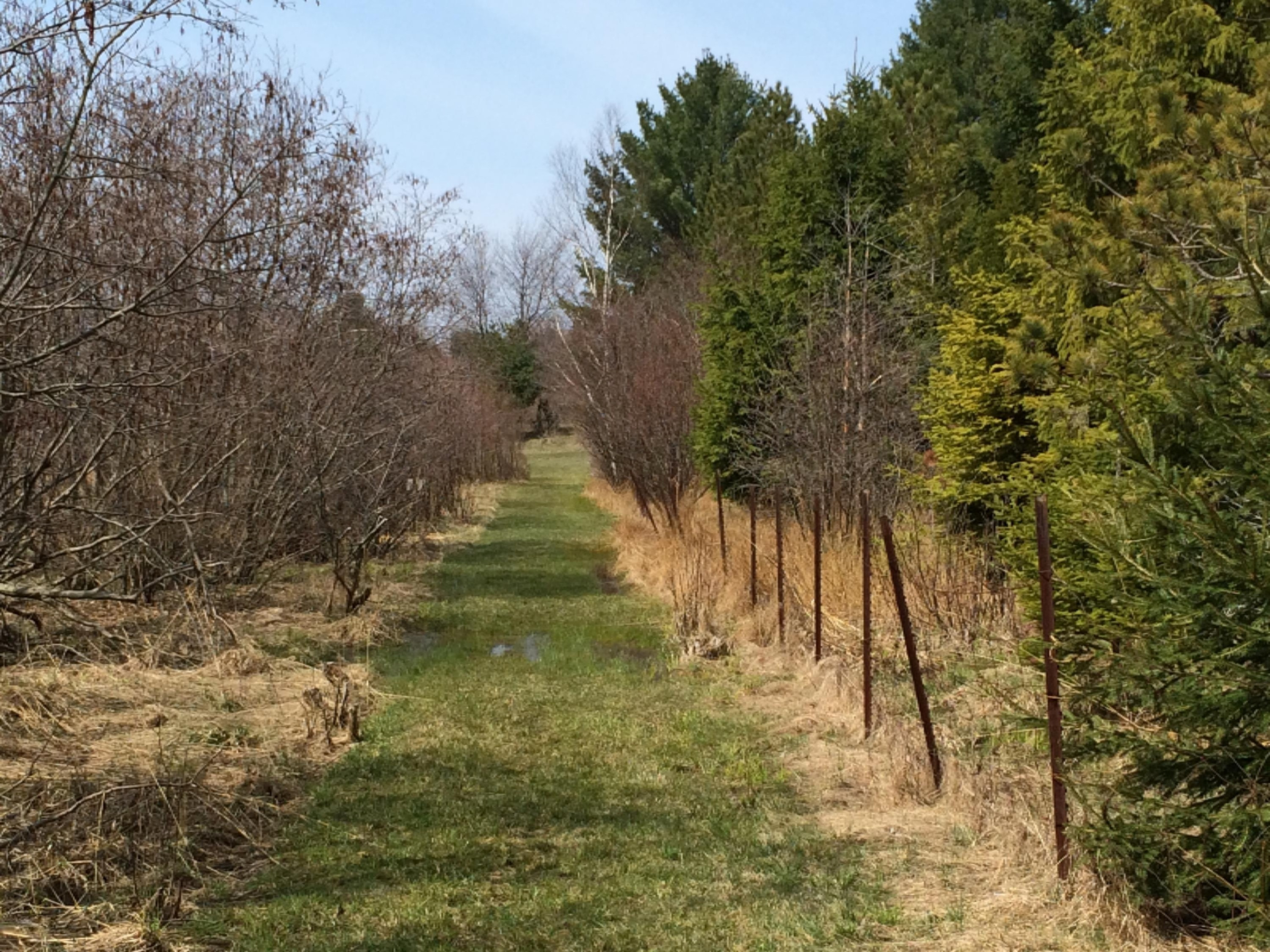 28.6a Red Apple Road