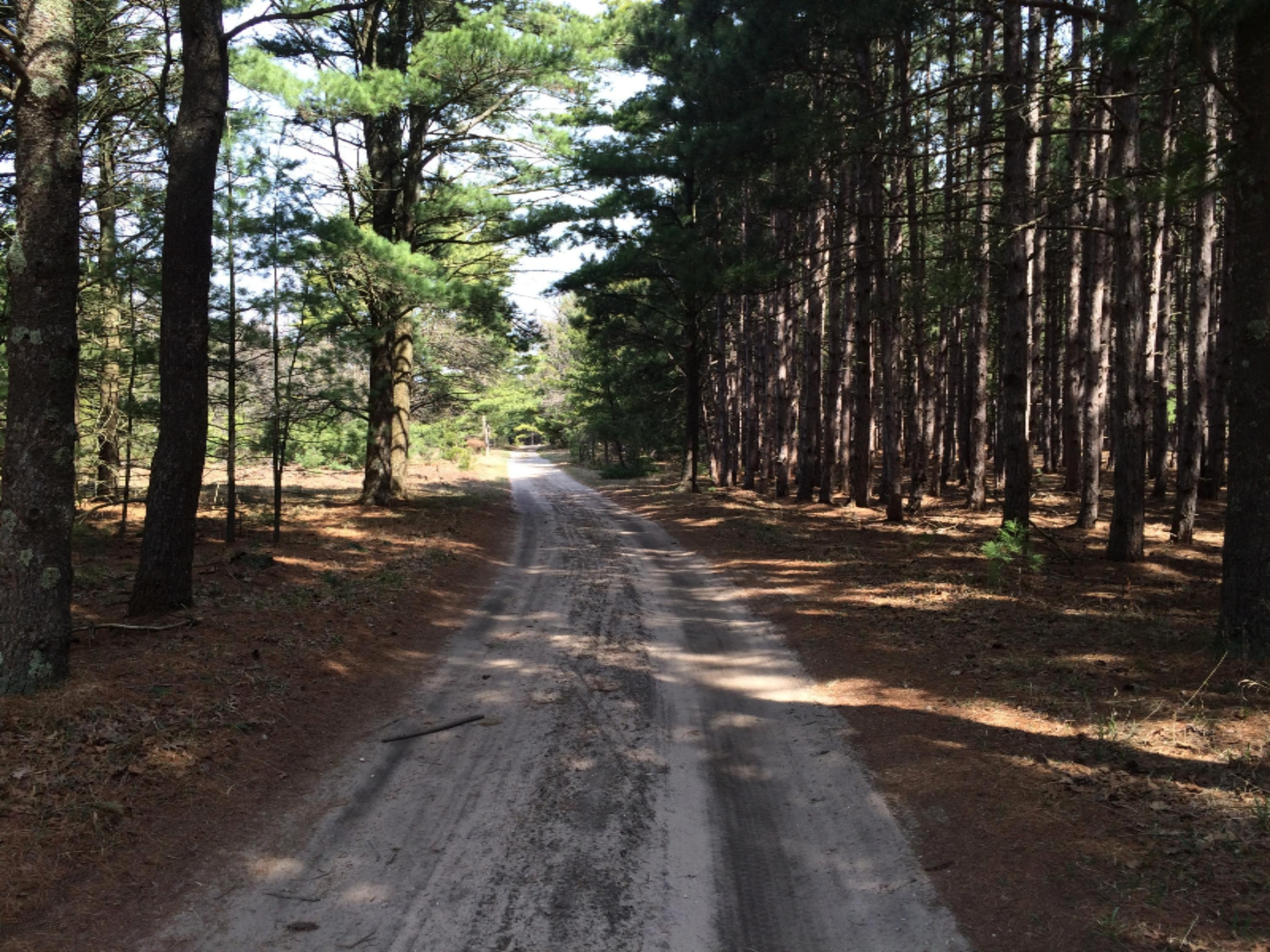 28.6a Red Apple Road