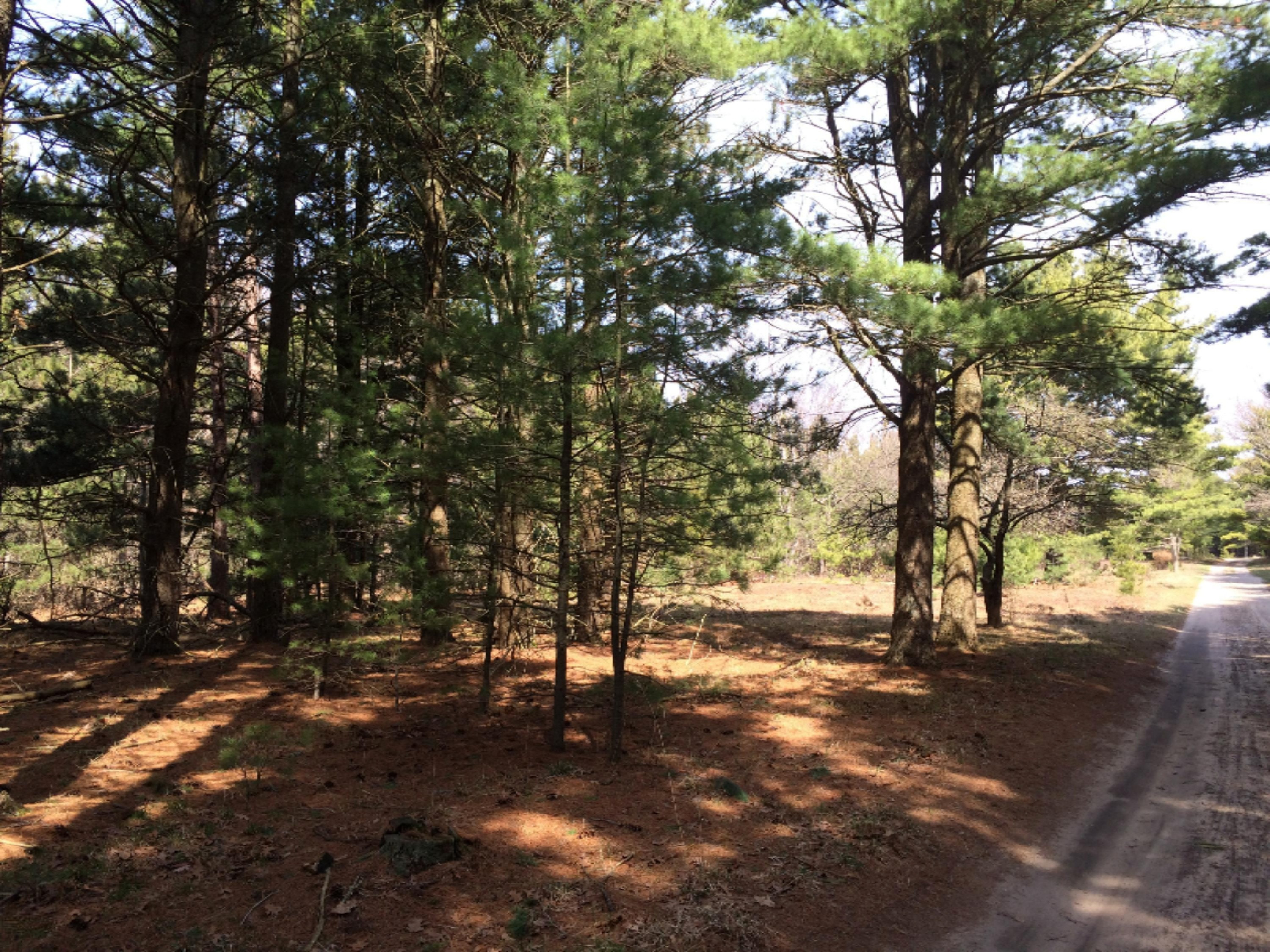 28.6a Red Apple Road