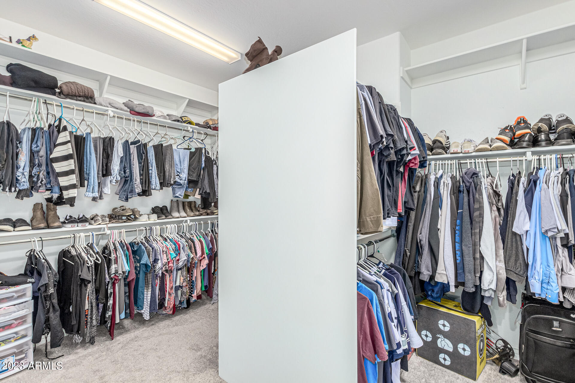 19023 E APRICOT Lane