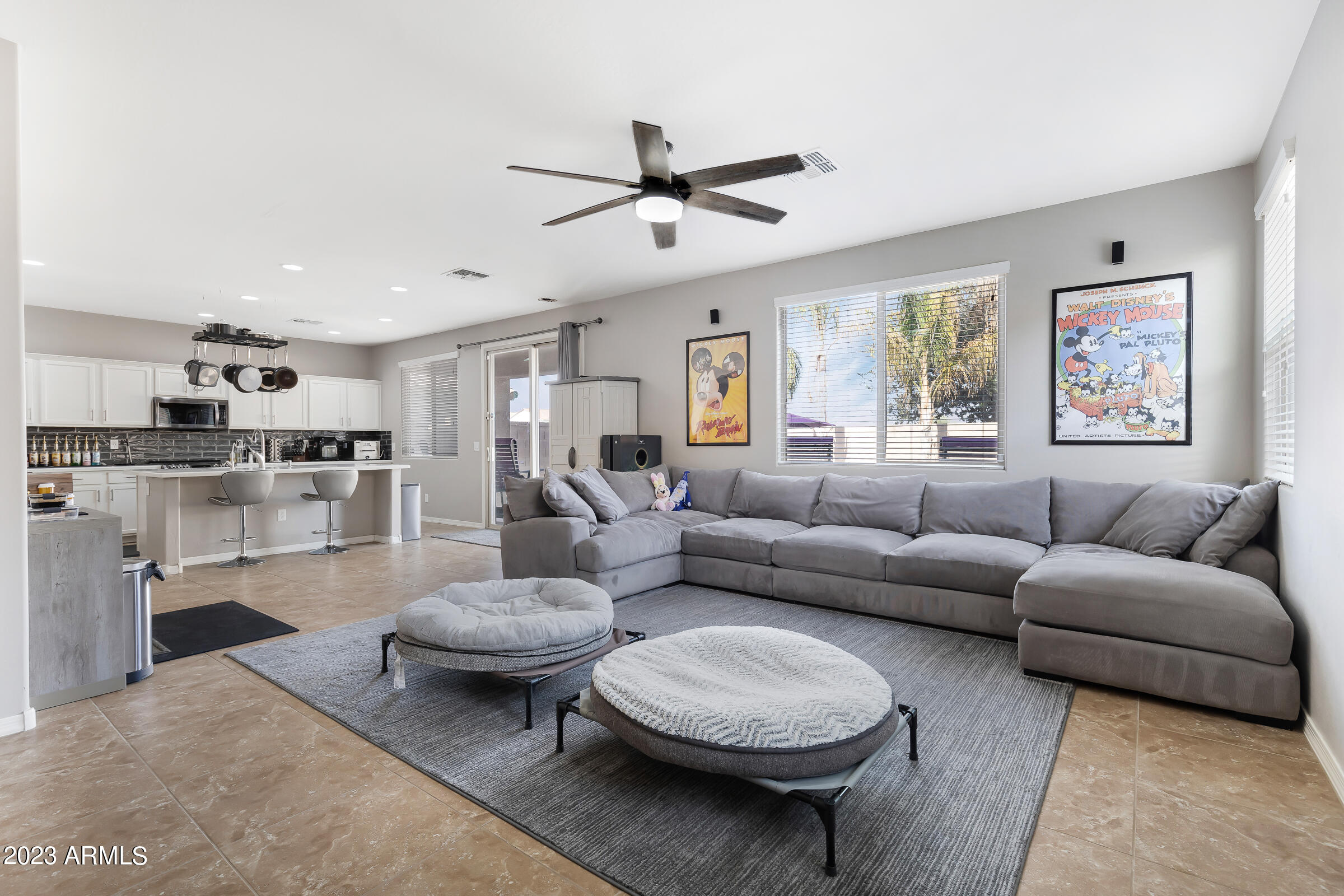 1162 W FRUIT TREE Lane