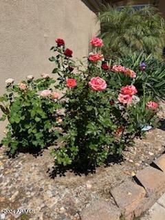 2512 E ARROWHEAD Trail