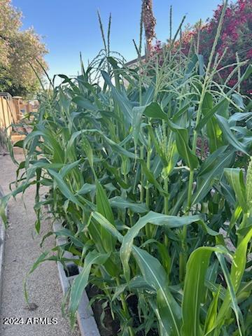 2512 E ARROWHEAD Trail