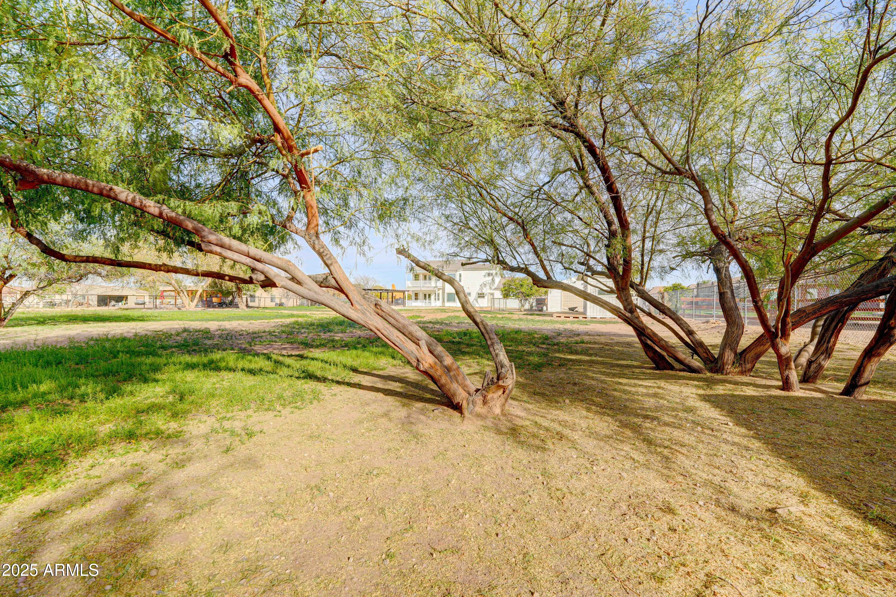 3929 E FLINTLOCK Drive
