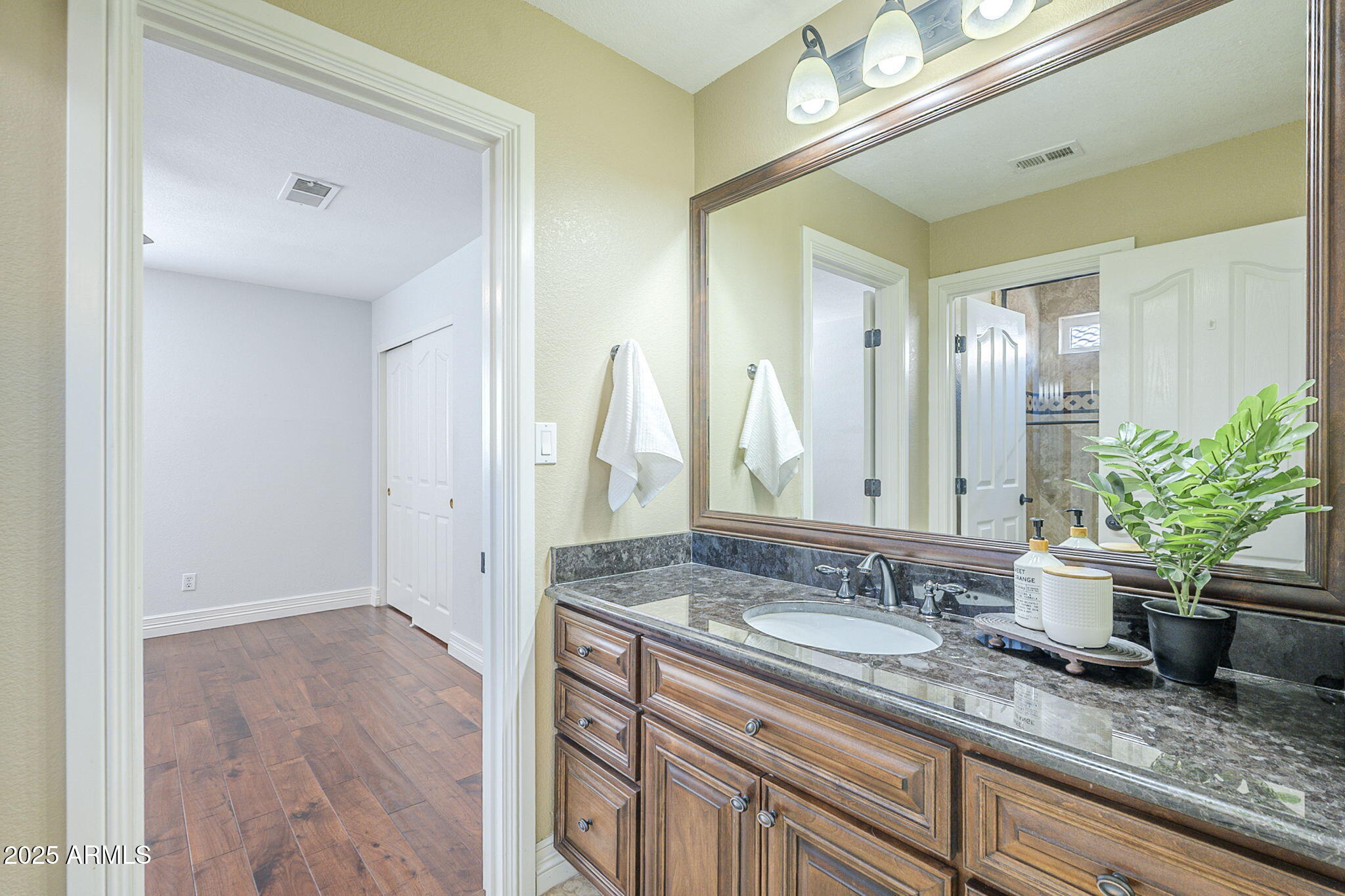 768 E MOUNTAIN SKY Avenue