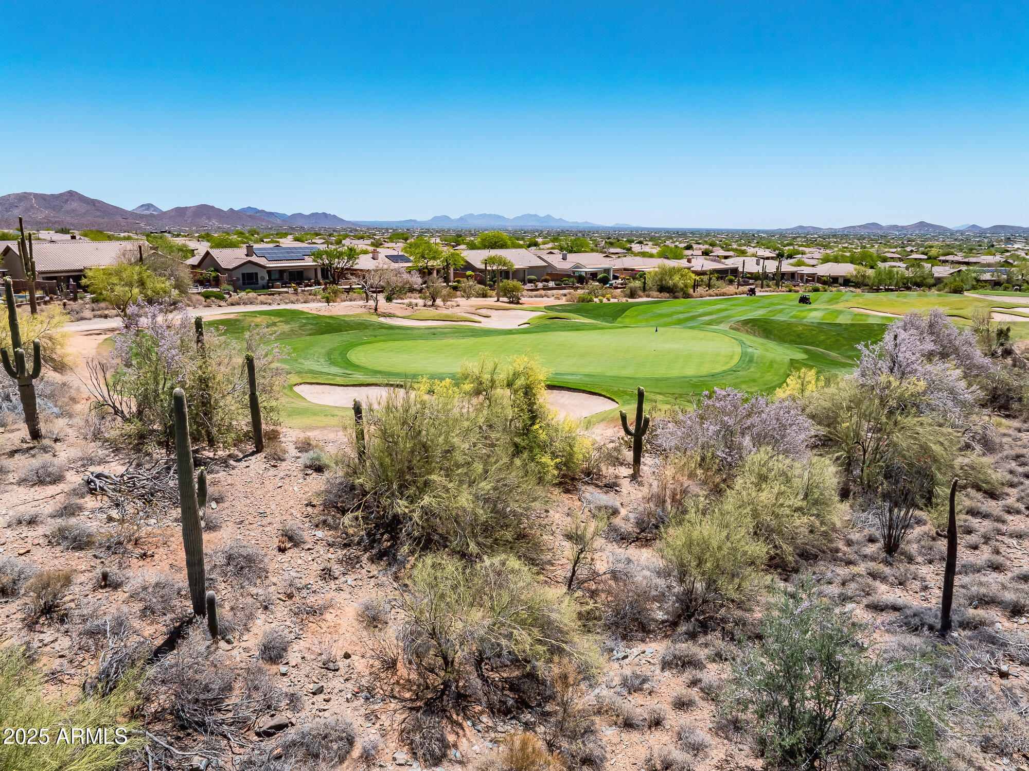 41731 N ROLLING GREEN Way