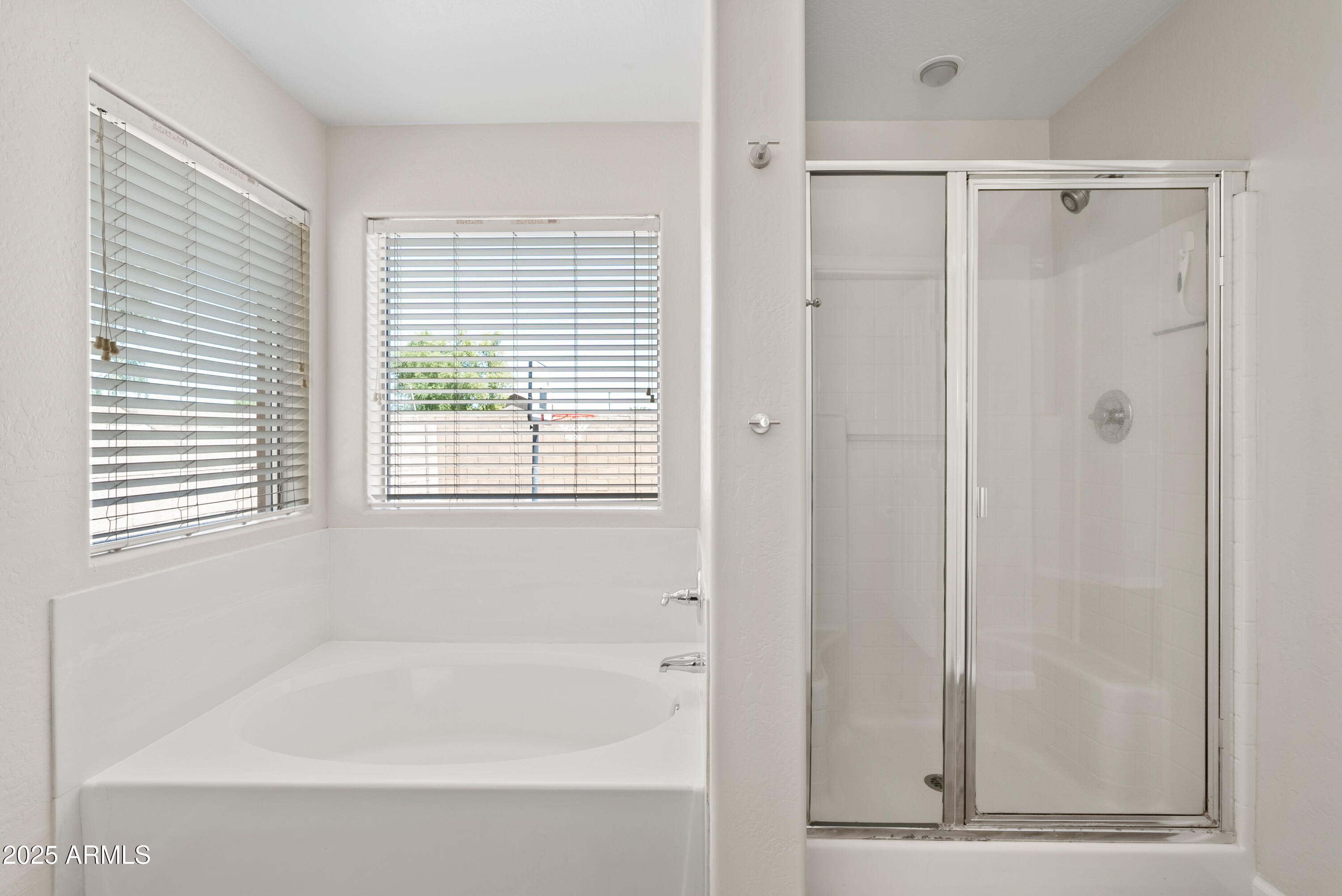 2136 W GOLDMINE MOUNTAIN Drive