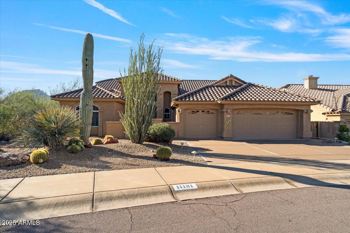 11181 E HEDGEHOG Place