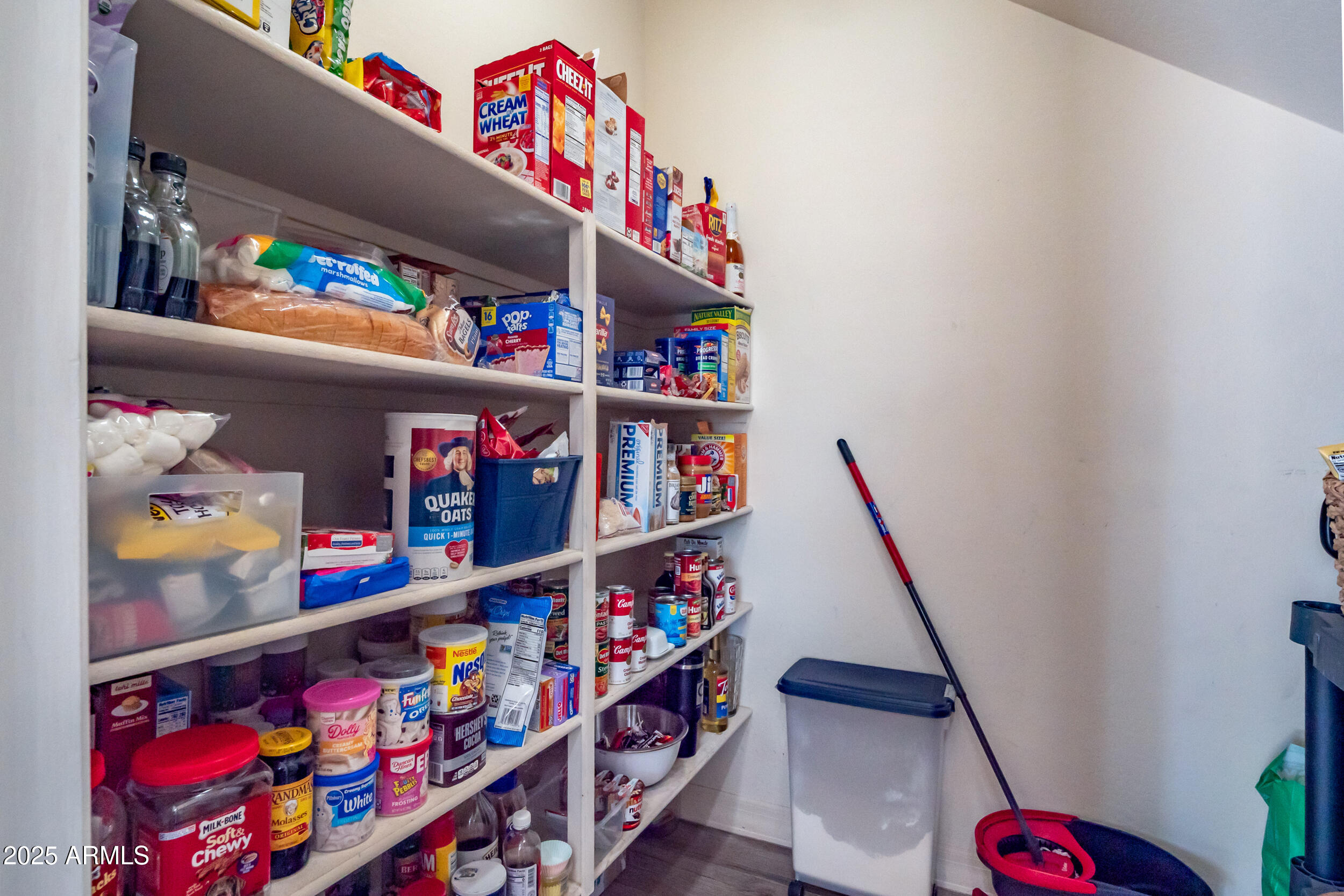 2955 E BLUE SAGE Road