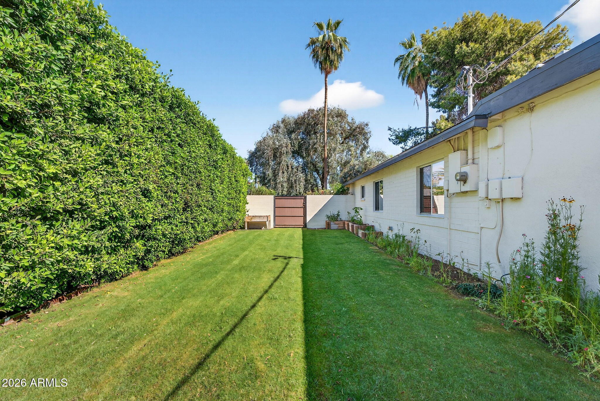 531 W STELLA Lane