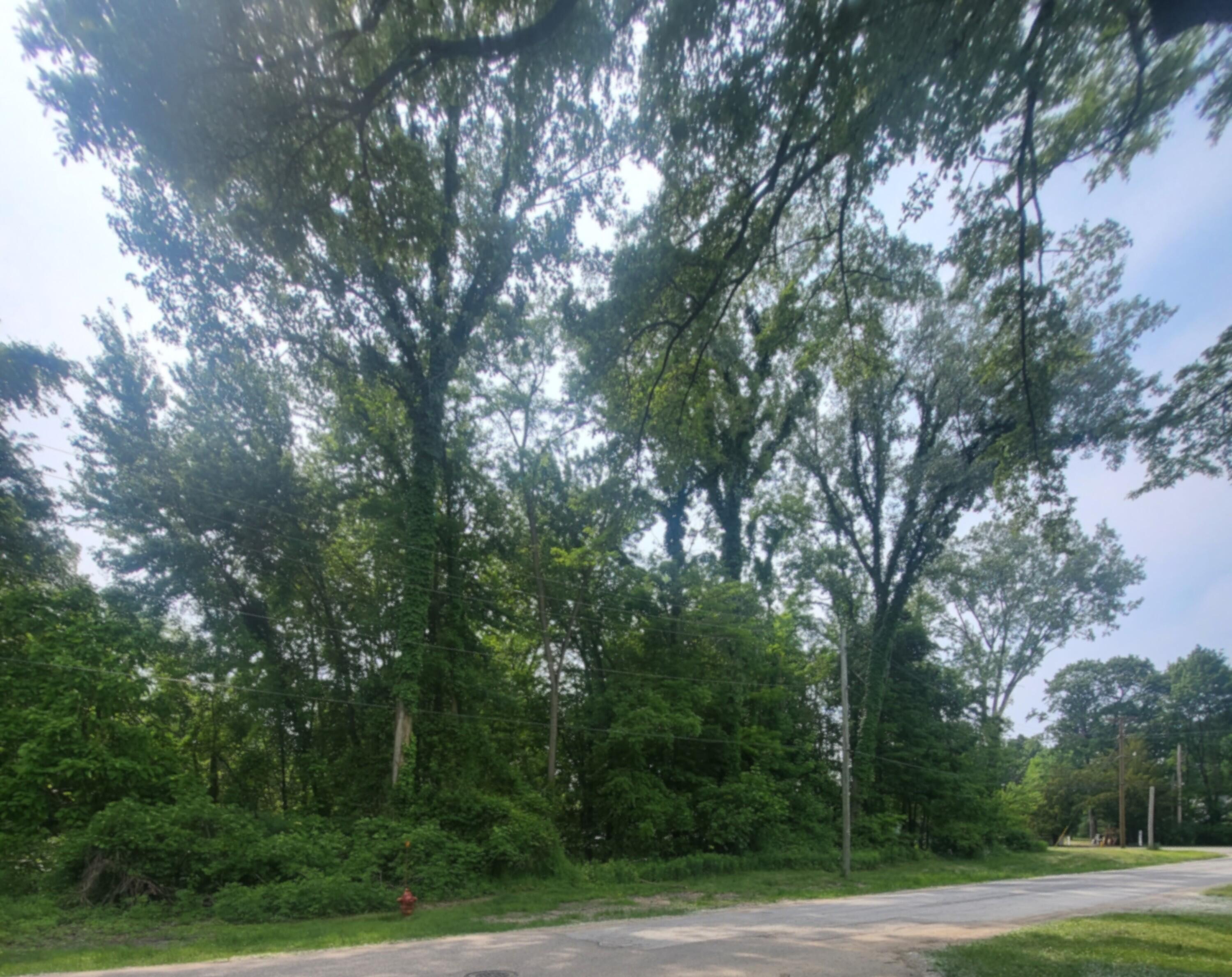 15853 Lakeshore Road