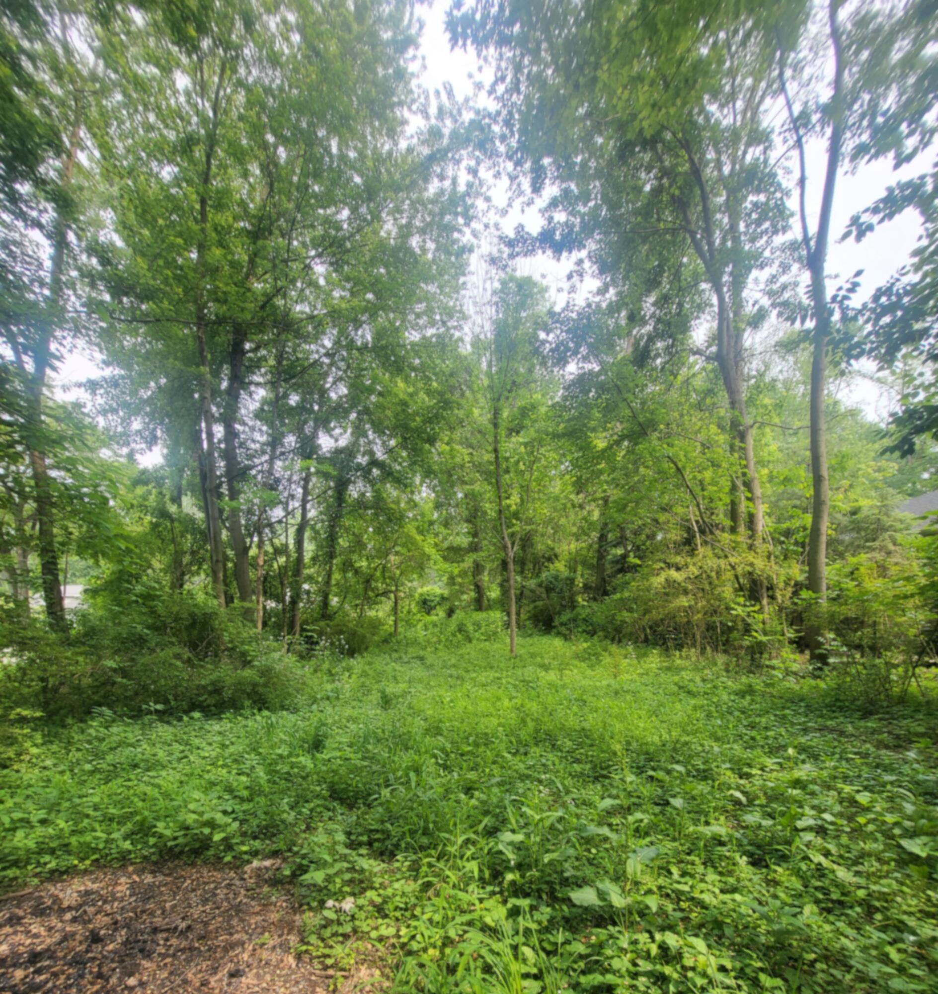 15853 Lakeshore Road