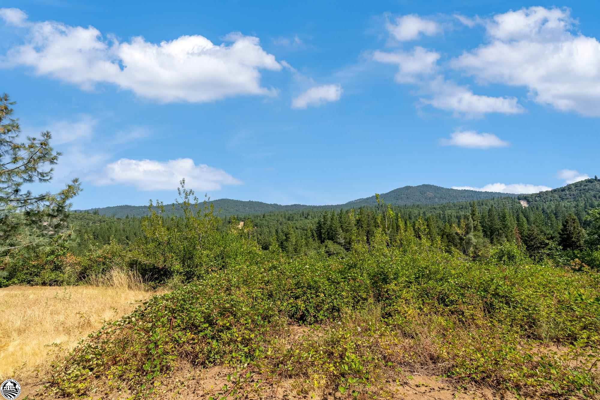 28935 Thunderbolt Dr