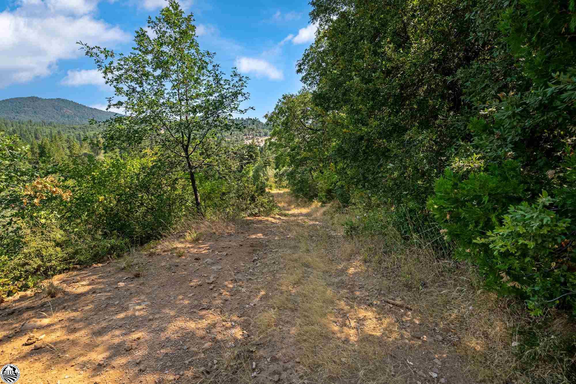 28935 Thunderbolt Dr