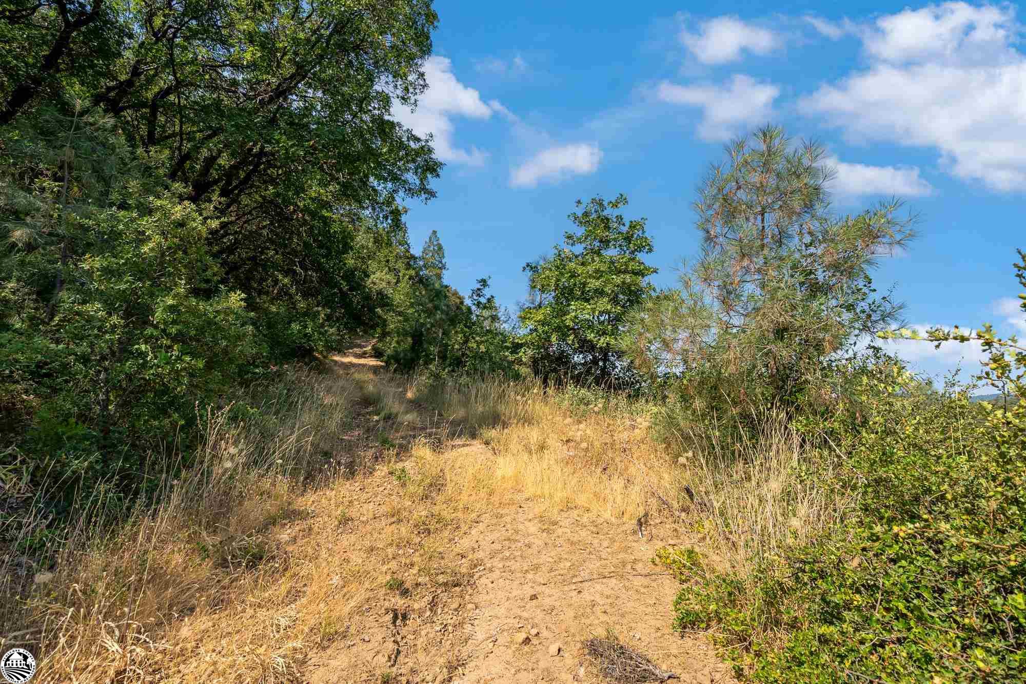 28935 Thunderbolt Dr