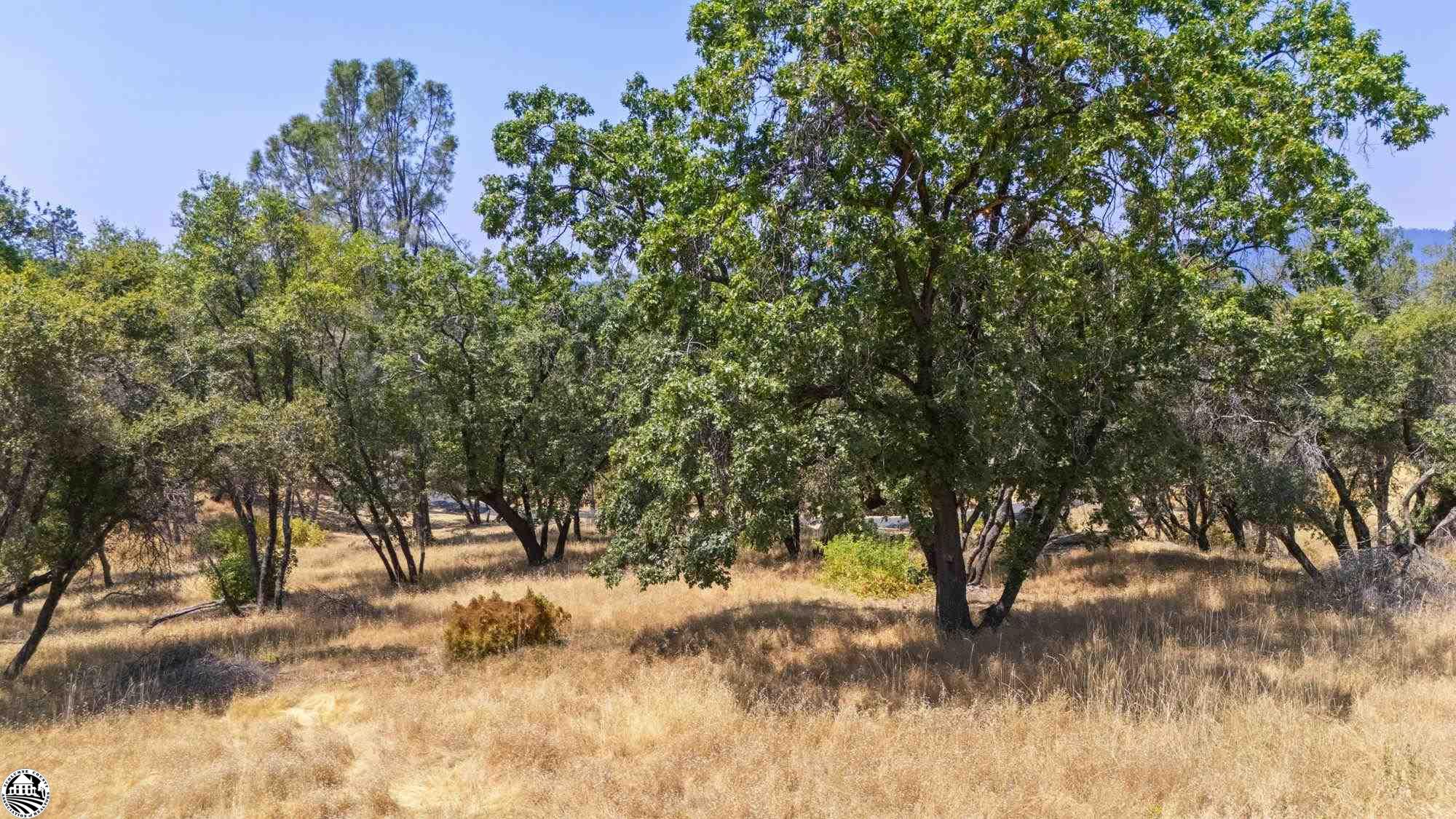 16400 Crestridge Ave