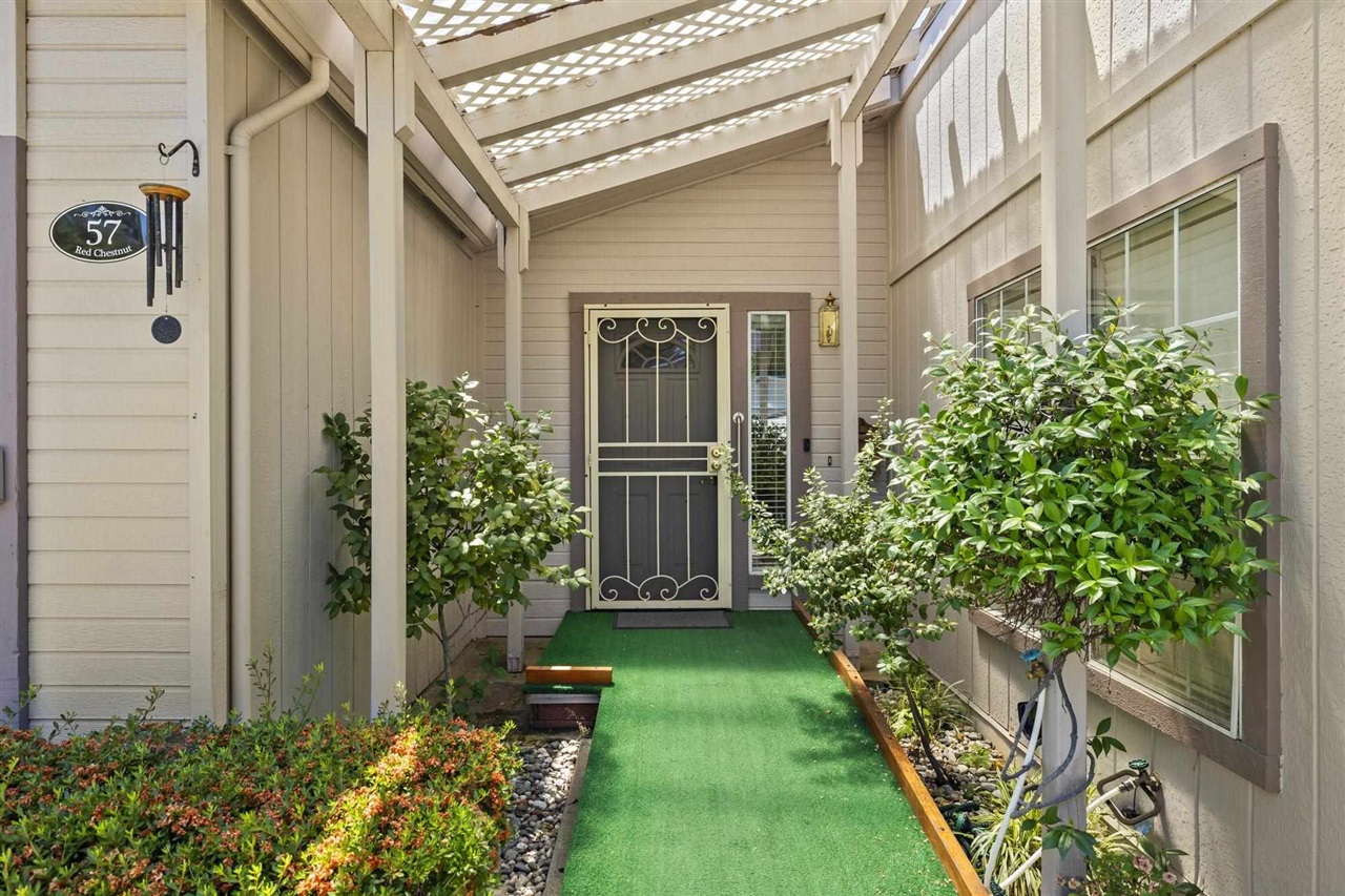 12660 Red Chestnut #57 # 57