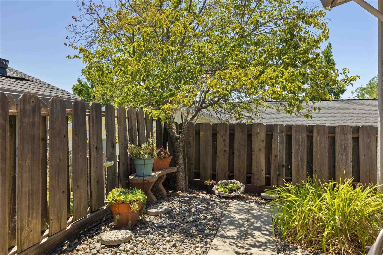 12660 Red Chestnut #57 # 57