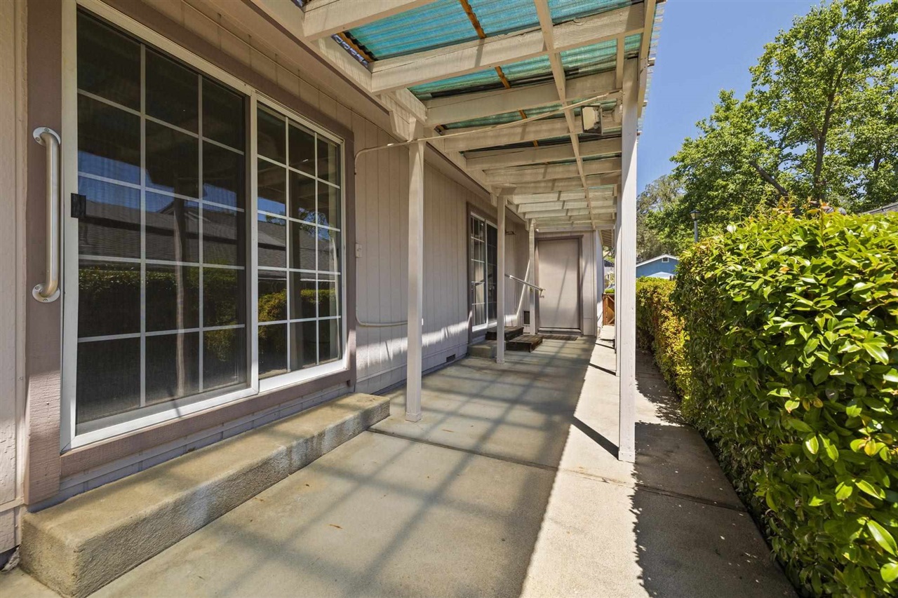 12660 Red Chestnut #57 # 57